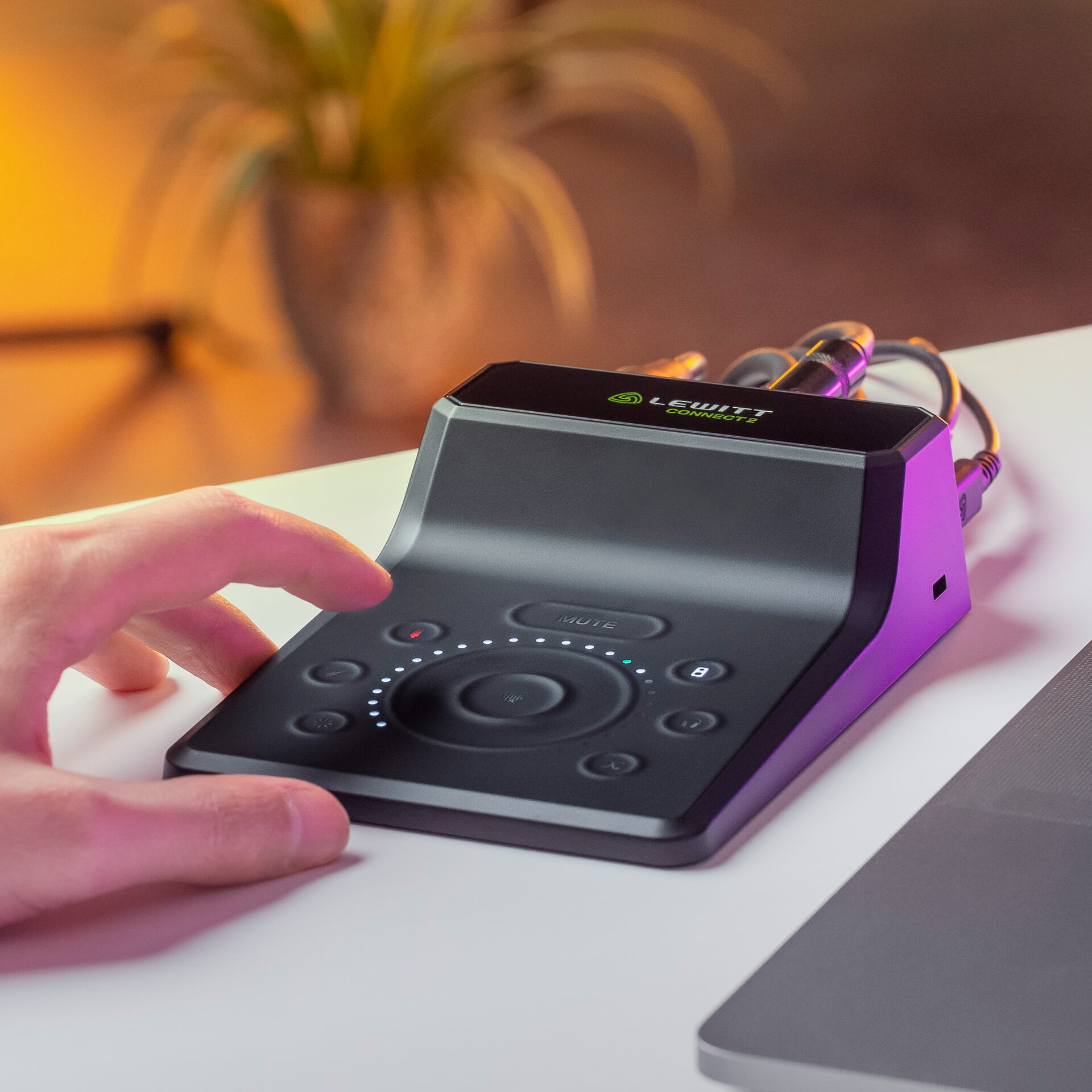 Lewitt Audio CONNECT-2 USB-C Audio Interface
