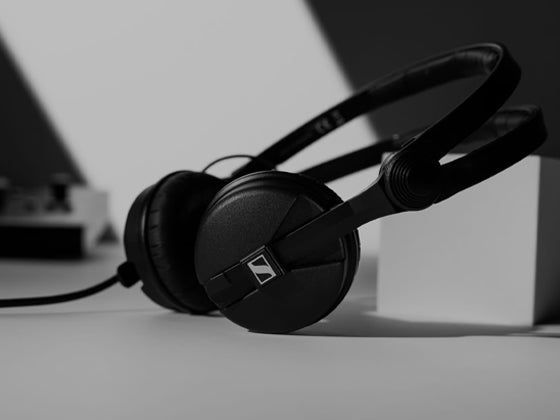 Sennheiser HD25 70 ohm Driver Capsule - single (570609)