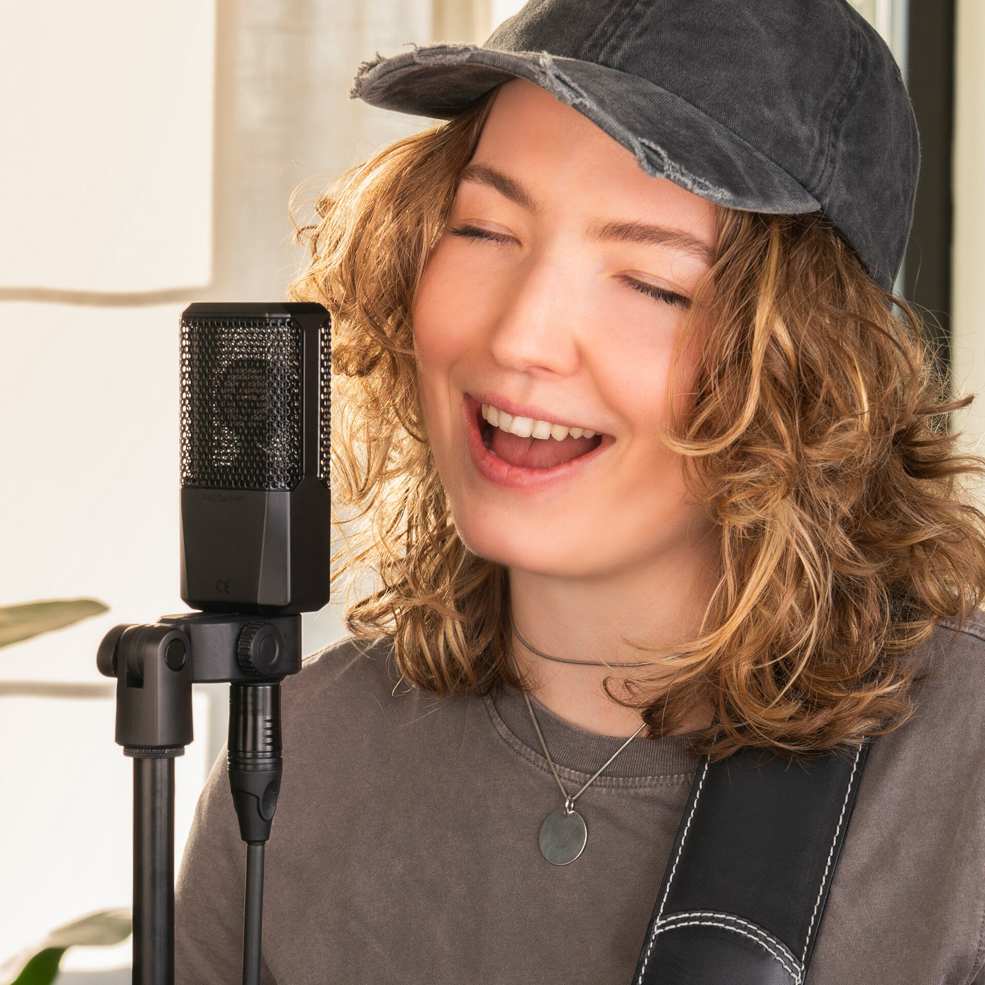 Lewitt Audio LCT 240 PRO Condenser Microphone